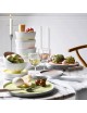 DEGRENNE 4 Plates La Vaisselle de l'ECONOME - 4 colors 3 sizes
