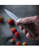 OPINEL Paring knife Les Forgés 1890