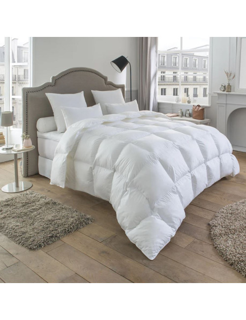 Drouault Duvet Nepal Light 180g/m² - 4 sizes