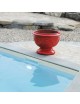 Anduze Planter Terre Figuiere