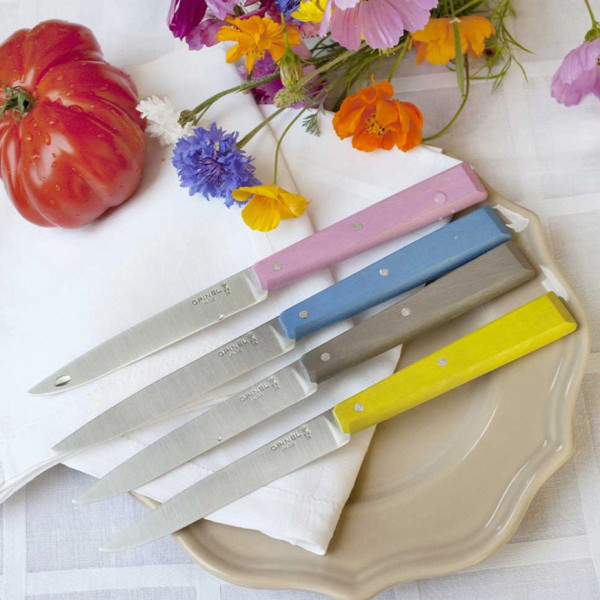 Coffret OPINEL 4 couteaux n°125 Bon appétit bois - 5 coloris