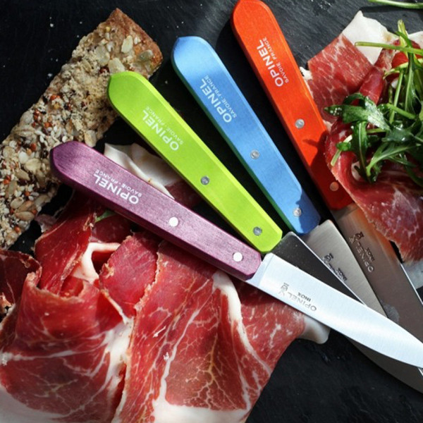 OPINEL box of 4 paring knives n°112 - 2 colors