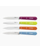 OPINEL box of 4 paring knives n°112 - 2 colors